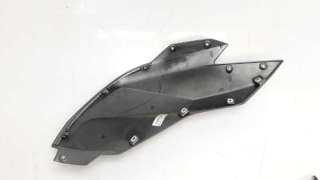 MOLDURA BMW R 1200 RS  - M.1204079 / 46638545317