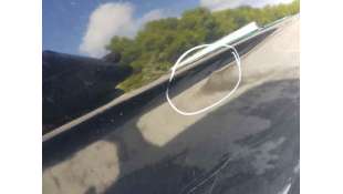 PUERTA TRASERA IZQUIERDA CHEVROLET CAPTIVA 2.0 D (150 CV) DE 2007 - D.4580165 2