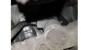 CREMALLERA DIRECCION FORD FOCUS LIM. 2.0 TDCi (136 CV) DE 2008 - D.4592032 2