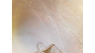 PLASTICO PASE RUEDA TRAS. IZQ. PORSCHE CAYENNE 4.5 V8 (340 CV) DE 2006 - D.4595820