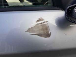 PUERTA DELANTERA DERECHA BMW SERIE 1 LIM. 1.5 12V Turbodiesel (116 CV) DE 2018 - D.4598272 2