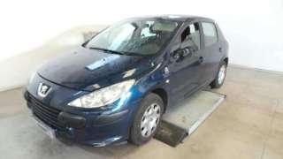 PEUGEOT 307 XS 2007 5p - 19067