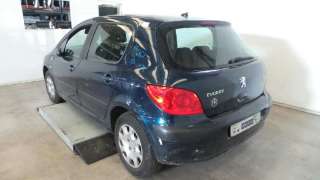 PEUGEOT 307 XS 2007 5p - 19067