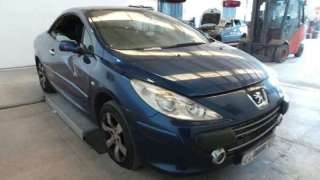 PEUGEOT 307 CC Sport 2006 2p - 19315