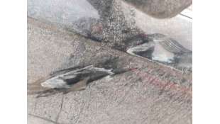 PUERTA DELANTERA IZQUIERDA HONDA CR-V 2.0 VTEC (150 CV) DE 2010 - D.4631190 2