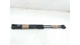 AMORTIGUADORES MALETERO / PORTON RENAULT CLIO II (1998-2010) 1.2 (BB0A, BB0F, BB10, BB1K, BB28, BB2D, BB2H, CB0A,... 58CV 1