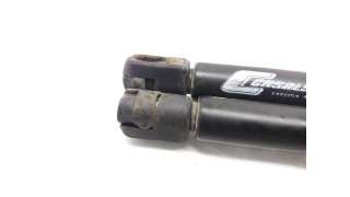 AMORTIGUADORES MALETERO / PORTON RENAULT CLIO II (1998-2010) 1.2 (BB0A, BB0F, BB10, BB1K, BB28, BB2D, BB2H, CB0A,... 58CV 1