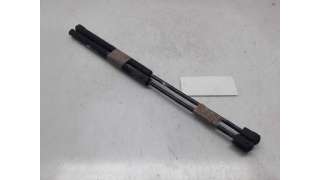AMORTIGUADORES MALETERO / PORTON RENAULT MEGANE I (2001-2003) 1.9 DTI (BA1U) 80CV 1870CC - L.4528175 / 08450450