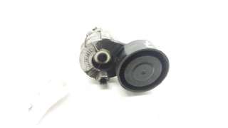 TENSOR CORREA AUXILIAR RENAULT MEGANE II (2005-2008) 1.5 DCI (BM1E, CM1E) 106CV 1461CC - L.4580171 / 117501083R