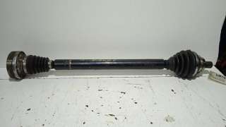 CAJA CAMBIOS BMW 3 (2004-2011) 20 D 16CV 1995CC - L.4668828 / ZQE