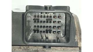 MANGUETA DELANTERA IZQUIERDA CITROEN XSARA (1998-2005) 1.9 D 70CV 1868CC - L.4750895 / 364654