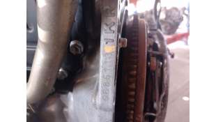 AMORTIGUADOR DELANTERO DERECHO HONDA CIVIC VI FASTBACK (1997-2001) 1.5 16V (MB3) 114CV 1493CC - L.4834693 / 51605ST3E11
