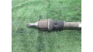 TRANSMISION DELANTERA DERECHA RENAULT SCÉNIC II (2003-2006) 1.6 (JM0C, JM0J, JM1B) 113CV 1598CC - L.4837262 / 8200575490