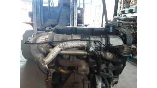 CINTURON SEGURIDAD TRASERO DERECHO SEAT IBIZA IV (2008-2010) 1.9 TDI 105CV 1896CC - L.4840288 / 6J0857805A