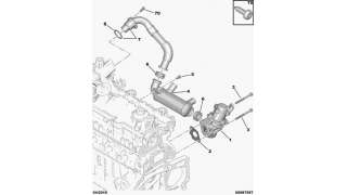 CERRADURA PUERTA DELANTERA DERECHA MERCEDES-BENZ CLASE A (1998-2001) A 170 CDI (168.008) 90CV 1689CC - L.4853168 / 16872022