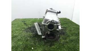 CULATA FIAT PANDA (2003-) 1.2 60CV 1242CC - L.4886523 / 55192459