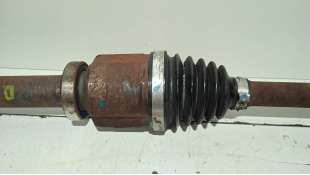 INYECTOR FORD TRANSIT FURGÓN (2000-2006) 2.4 DI (FAA, FAB, FAC, FAD) 90CV 2402CC - L.4889424 / XS7QBG 2
