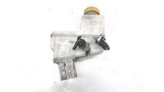 DEPOSITO SERVO FIAT DOBLO LIMUSINA (2003-) 1.9 JTD 105CV 1910CC - L.4915014 / 0077363966