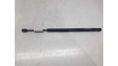 AMORTIGUADORES MALETERO / PORTON FORD FOCUS (1998-2009) - L.4919559 / 116.10301690