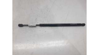 AMORTIGUADORES MALETERO / PORTON FORD FOCUS (1998-2009) - L.4919559 / 116.10301690