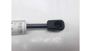 AMORTIGUADORES MALETERO / PORTON FORD FOCUS (1998-2009) - L.4919559 / 116.10301690