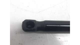 AMORTIGUADORES MALETERO / PORTON FORD FOCUS (1998-2009) - L.4919559 / 116.10301690