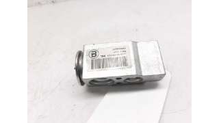 VALVULA EXPANSION AUDI Q5 (2008-2012) 2.0 TDI QUATTRO 170CV 1968CC - L.4930071 / 523169900211