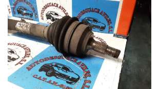 CINTURON SEGURIDAD TRASERO FORD RANGER (1999-2006) 2.5 TD 4X4 109CV 2500CC - L.4991288 / 0029282 2