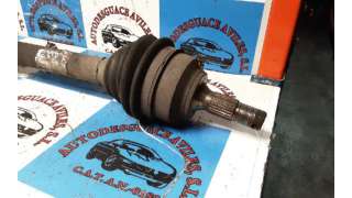 CINTURON SEGURIDAD TRASERO FORD RANGER (1999-2006) 2.5 TD 4X4 109CV 2500CC - L.4991288 / 0029282
