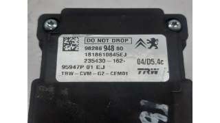 CAMARA FRONTAL PEUGEOT 308 II (2013-) 1.6 BLUEHDI 120 120CV 1560CC - L.5007970 / 9828694880