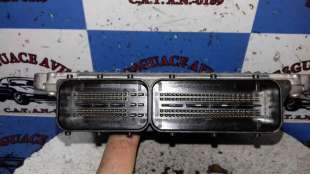 INYECTOR SEAT CORDOBA (2002-2009) 1.9 TDI 100CV 1896CC - L.5151013 / 038130073AJ