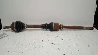 MOTOR ELEVALUNAS TRASERO DERECHO VOLKSWAGEN GOLF IV (1997-2004) 1.4 16V 75CV 1390CC - L.5164530 / 1J1959812C