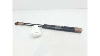 AMORTIGUADORES MALETERO / PORTON FIAT BRAVO II (2007-2014) 1.9 D MULTIJET 120CV 1910CC - L.5277981 / 51812267