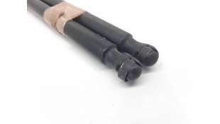 AMORTIGUADORES MALETERO / PORTON RENAULT SCÉNIC II (2003-2006) 1.9 DCI (JM0G, JM12, JM1G, JM2C) 120CV 1870CC - L.5315847 /  2