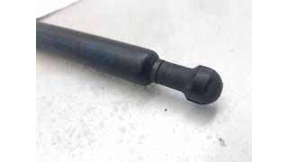 AMORTIGUADORES MALETERO / PORTON FIAT PANDA (2010-2013) 1.2 (169AXF2A, 169AXF1A) 69CV 1242CC - L.5360116 / 46827091