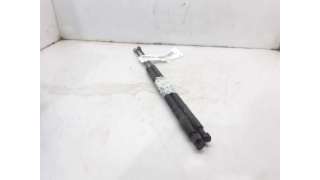 AMORTIGUADORES MALETERO / PORTON BMW X5 (2001-2003) 3.0 D 184CV 2925CC - L.5394296 / 51248402195