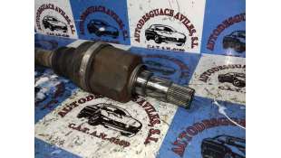 AMORTIGUADORES MALETERO / PORTON HYUNDAI COUPE (1998-2002) 1.6 16V 116CV 1599CC - L.5395729 / 8177027002 2