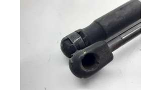AMORTIGUADORES MALETERO / PORTON SUZUKI SWIFT III (2005-) 1.3 DDIS (RS 413D) 75CV 1248CC - L.5400275 / 8180162811000