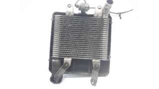 INTERCOOLER KIA CARNIVAL II (2001-2006) 2.9 CRDI 144CV 2902CC - L.5446018 / 0K55313550B