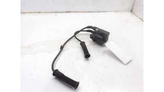 BOBINA ENCENDIDO RENAULT MEGANE SCENIC (1996-1999) 1.6 E (JA0F) 90CV 1598CC - L.5525099 / 224336134R