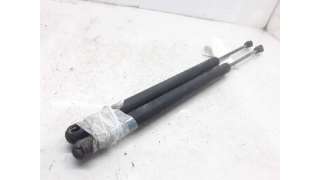 AMORTIGUADORES MALETERO / PORTON RENAULT GRAND SCÉNIC II (2004-2006) 1.9 DCI (JM0G, JM12, JM1G, JM2C) 120CV 1870CC - L.5554
