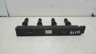 MANETA EXTERIOR PORTON RENAULT CLIO II (1998-2010) 1.2 (BB0A, BB0F, BB10, BB1K, BB28, BB2D, BB2H, CB0A,... 58CV 1149CC - L.