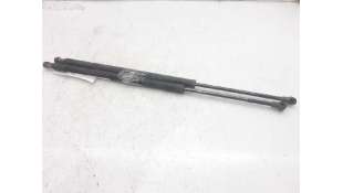 AMORTIGUADORES MALETERO / PORTON BMW X5 (2001-2003) 3.0 D 184CV 2925CC - L.5597595 / 51248402195