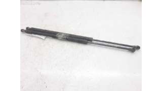 AMORTIGUADORES MALETERO / PORTON BMW X5 (2001-2003) 3.0 D 184CV 2925CC - L.5597595 / 51248402195