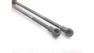 AMORTIGUADORES MALETERO / PORTON BMW X5 (2001-2003) 3.0 D 184CV 2925CC - L.5597595 / 51248402195
