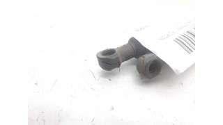 AMORTIGUADORES MALETERO / PORTON BMW X5 (2001-2003) 3.0 D 184CV 2925CC - L.5597595 / 51248402195