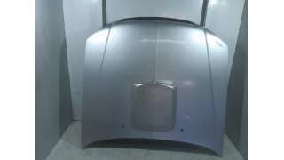 CAPOT HYUNDAI TERRACAN (2001-2006) 2.5 TD 101CV 2476CC - L.5597866 / 79000H1112