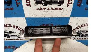 MANETA EXTERIOR TRASERA DERECHA TOYOTA COROLLA VERSO (2005-2009) 2.2 D-4D (AUR10) 136CV 2231CC - L.5599990 / 6921105903 2