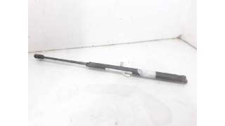 AMORTIGUADORES MALETERO / PORTON FORD FIESTA V (2003-2008) 1.25 16V 70CV 1242CC - L.5602303 / 1460415