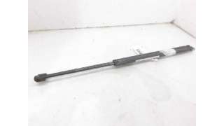 AMORTIGUADORES MALETERO / PORTON FORD FIESTA V (2003-2008) 1.25 16V 70CV 1242CC - L.5602303 / 1460415